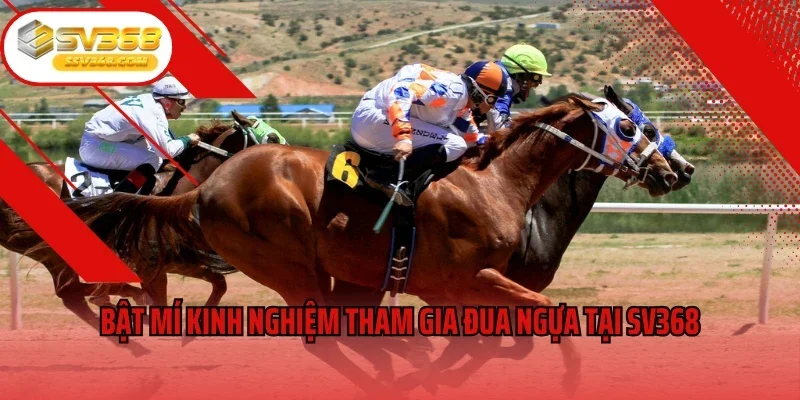 Bật mí kinh nghiệm tham gia đua ngựa tại SV368