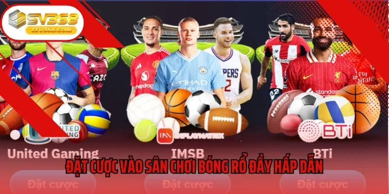 Đặt cược vào sân chơi bóng rổ đầy hấp dẫn